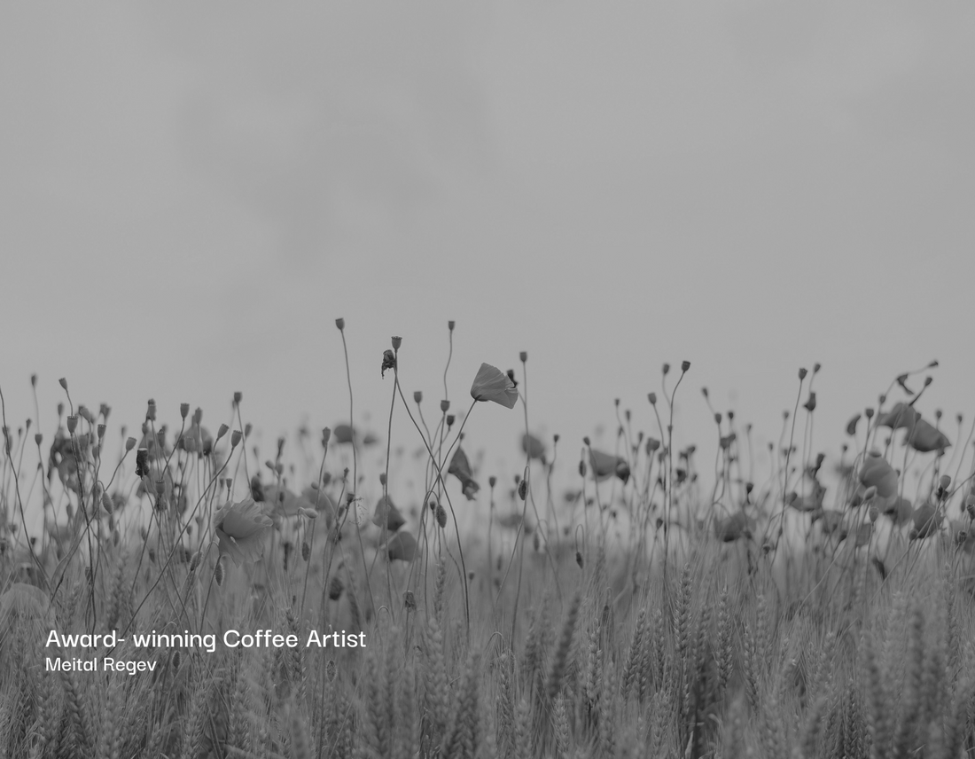 Discovering Art in Unexpected Moments with Meital Regev