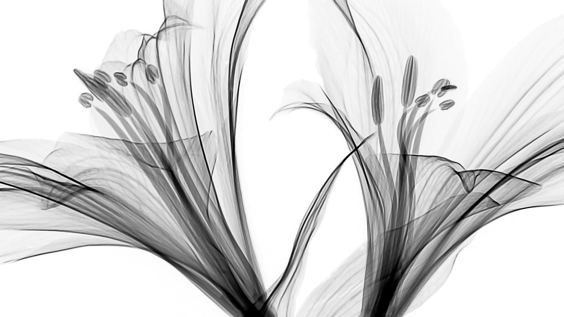 What 2025 Taught Us About Building a Sustainable Art Career