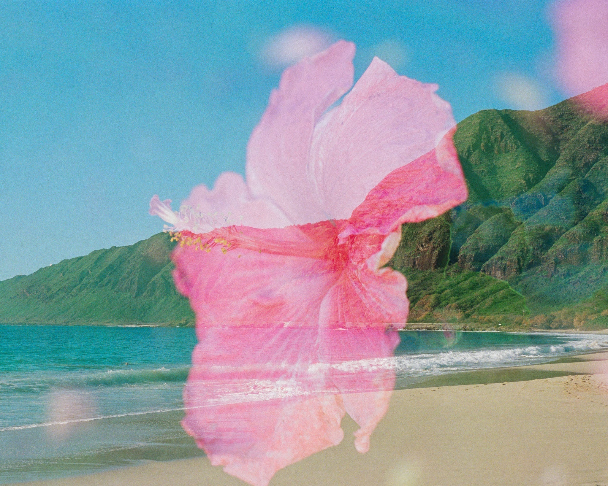 Trusting your vision with Megan Karbowski